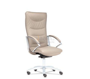 Кресло для руководителя Теодор D100